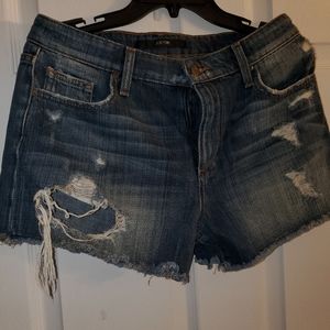 Joe Jeans Denim Designer Shorts